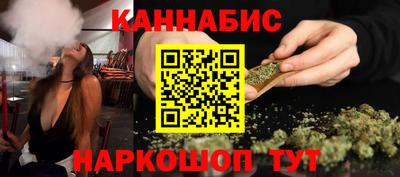 сатива Новокубанск
