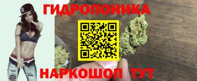 сатива Новокубанск