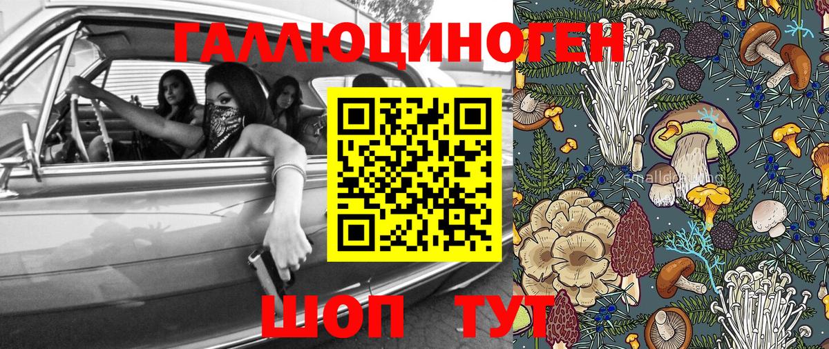 где найти наркотики  Галлюциногенные грибы MAGIC MUSHROOMS  Вход с VPN  Тихвин 